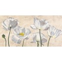 Luca Villa - Poppies in White  | Pg-Plaisio.gr