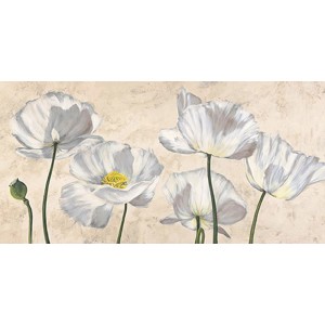 LUCA VILLA - Poppies in White