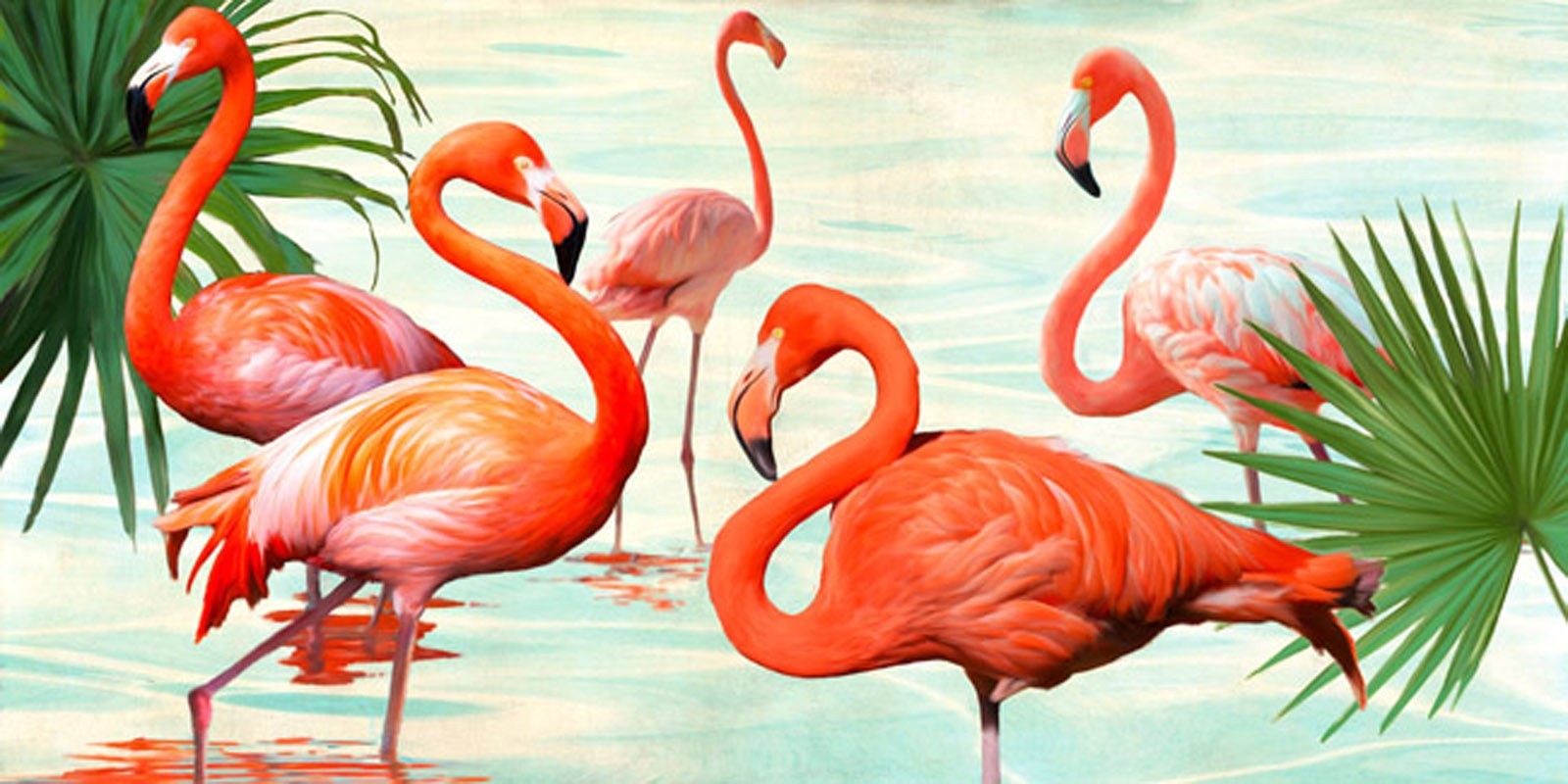 TEO RIZZARDI - Flamingos
