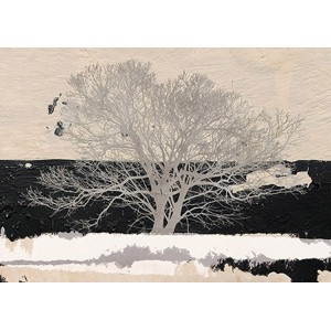 ALESSIO APRILE - Silver Tree