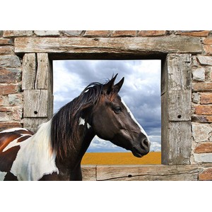 JULIAN LAUREN - Painted Horse