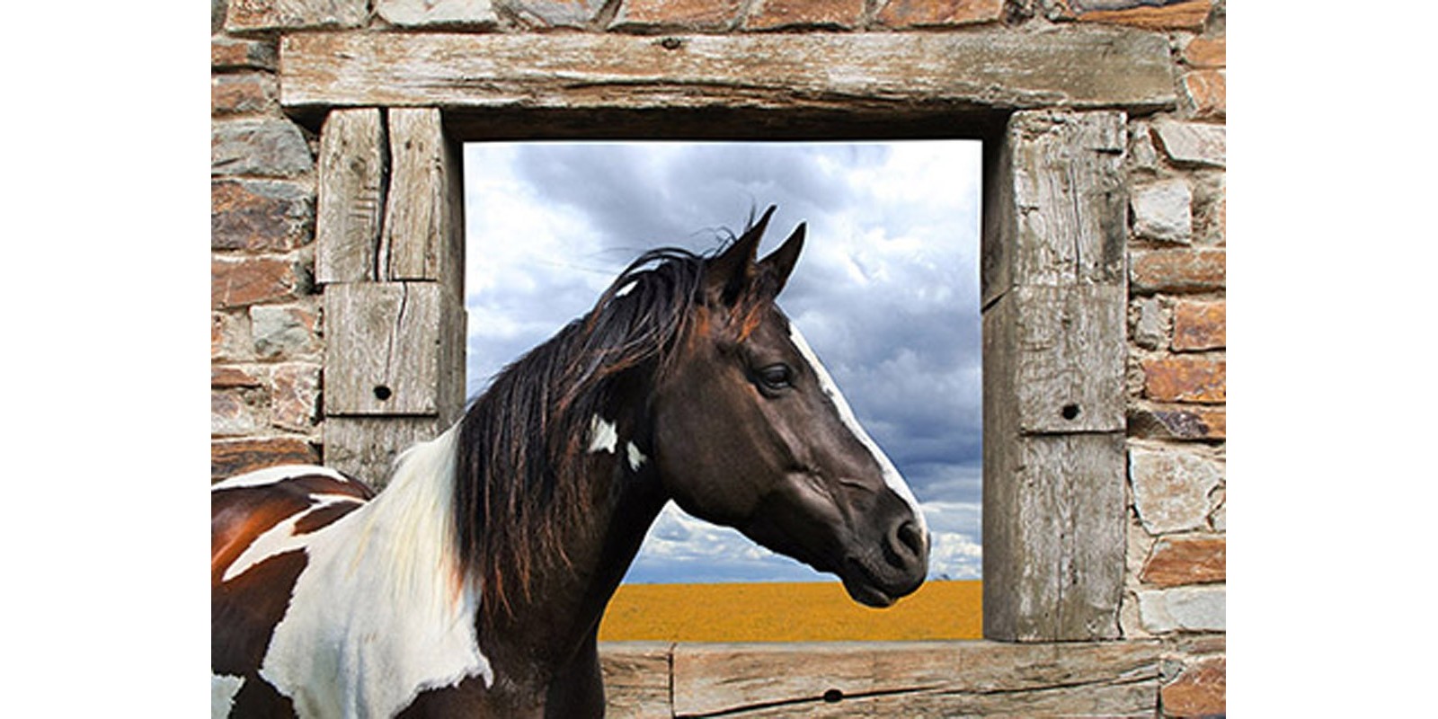 JULIAN LAUREN - Painted Horse