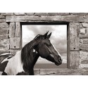 Julian Lauren - Painted Horse (BW)  | Pg-Plaisio.gr