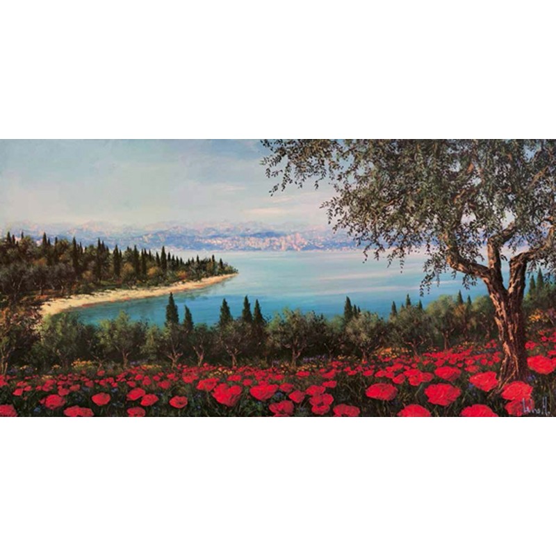 Tebo Marzari - Papaveri sulla baia