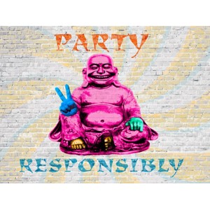 MASTERFUNK COLLECTIVE - Party Responsibly