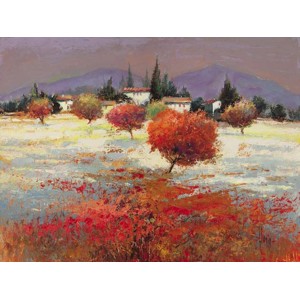 Luigi Florio - Dolci colline