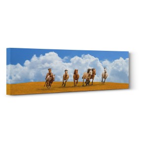 PANGEA IMAGES - Herd of wild horses (detail)