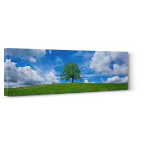 Frank Krahmer - Oak and clouds, Bavaria, Germany  | Pg-Plaisio.gr