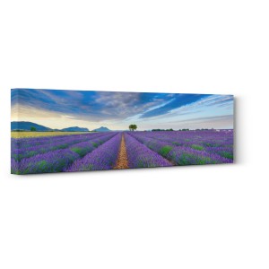 FRANK KRAHMER - Lavender Field, France