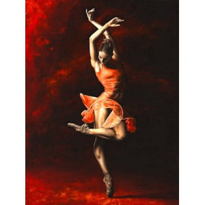 Richard Young - The Passion of Dance