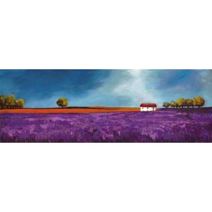 Philip Bloom - Field of lavender