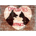 Masterfunk Collective - Opposites attract