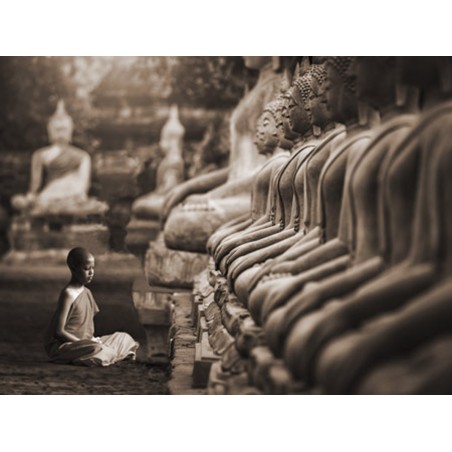 Pangea Images - Young Buddhist Monk praying, Thailand (sepia)