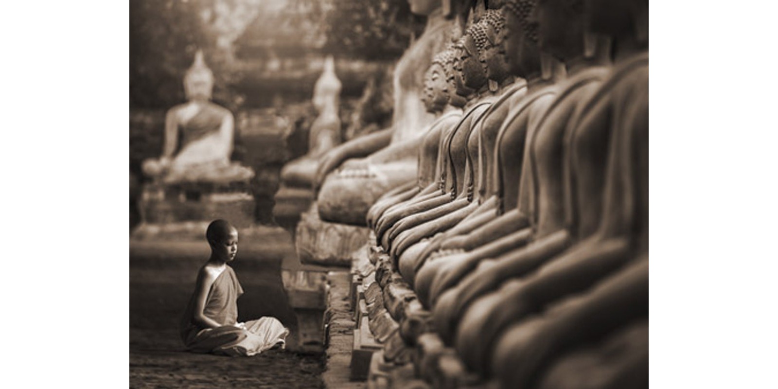 Pangea Images - Young Buddhist Monk praying, Thailand (sepia)