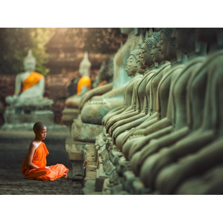 Pangea Images - Young Buddhist Monk praying, Thailand