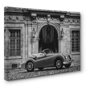 Gasoline Images - Luxury Car in front of Classic Palace (BW)
