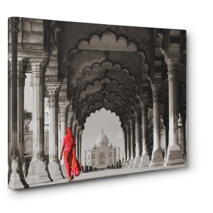 Gasoline Images - Woman in traditional Sari walking towards Taj Mahal (BW)