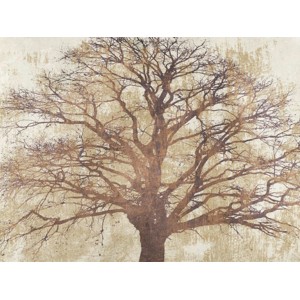 Alessio Aprile - Sacred Oak