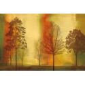 Chris Donovan - Sunset II