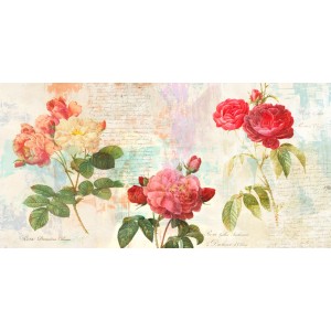 Eric Chestier - Redouté's Roses 2.0