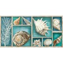 Ted Broome - Collection of Memories