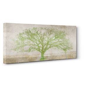 Alessio Aprile - Green Tree